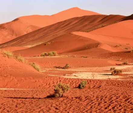 Wydmy na pustynie Namib